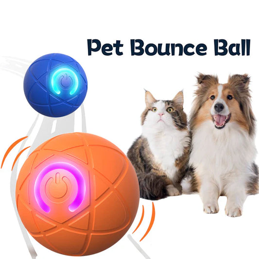 New Release - 50% Off - Pet Bounce Ball for Dogs & Cats