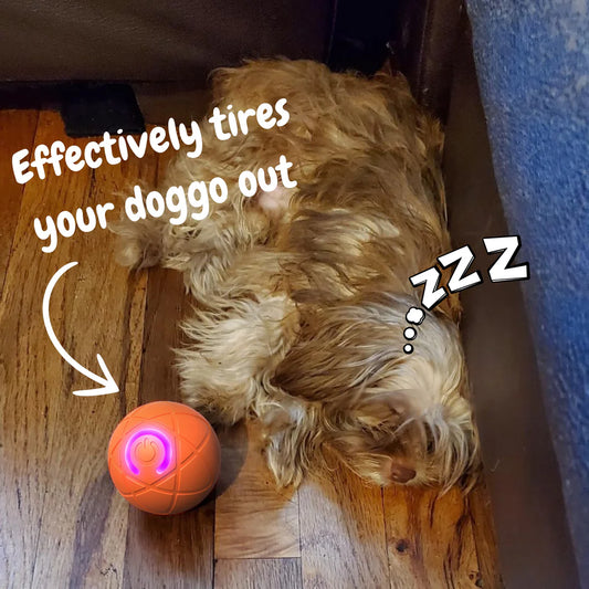 New Release - 50% Off - Pet Bounce Ball for Dogs & Cats
