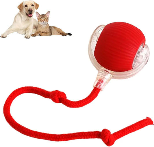 ODALIT™ smart chase pet toy ball